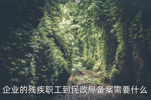 企業(yè)的殘疾職工到民政局備案需要什么