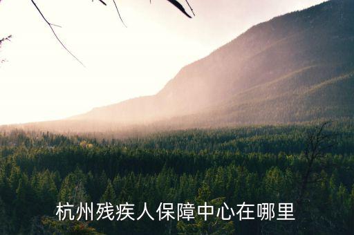 杭州市殘保證如何申請(qǐng)，杭州殘疾人保障中心在哪里