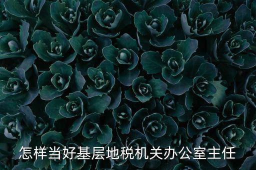 稅務(wù)部門(mén)如何抓好主體責(zé)任，如何做好稅收法規(guī)工作