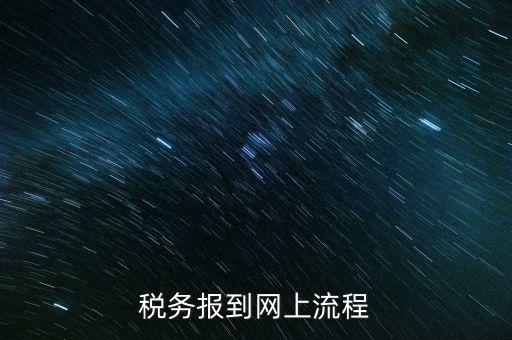 如何進行國稅報道，稅務報道的流程