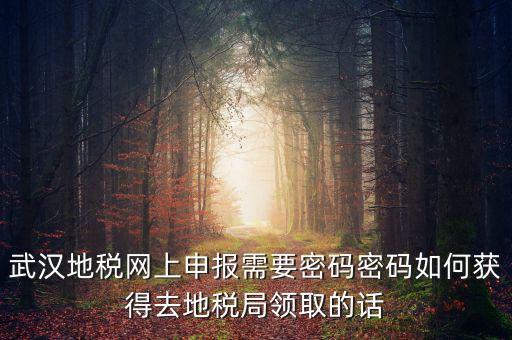 武漢地稅網上申報需要密碼密碼如何獲得去地稅局領取的話