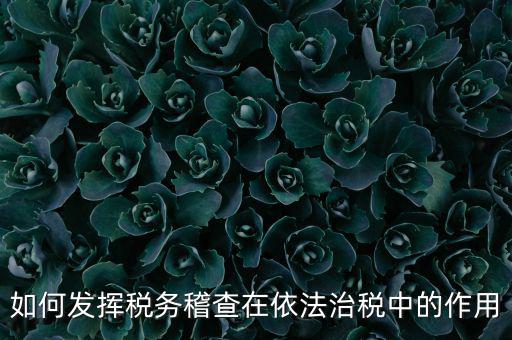 稽查部門如何優(yōu)化稅收營(yíng)商環(huán)境，如何充分發(fā)揮稽查職能作用更好服務(wù)于全省稅收征管工作發(fā)展大局