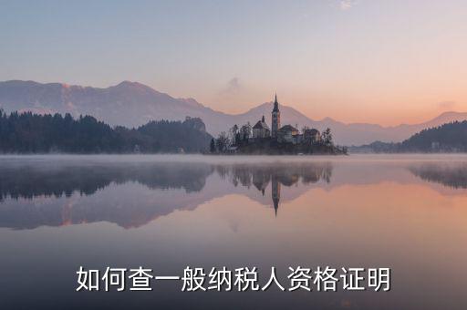 如何查一般納稅人資格，如何查一般納稅人資格證明