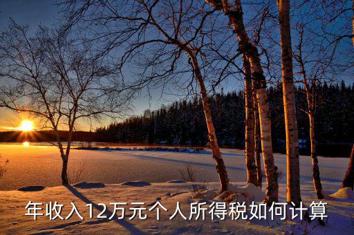 如何計(jì)算12萬申報(bào)，年收入12萬元個(gè)人所得稅如何計(jì)算