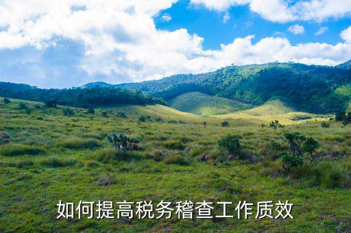 如何提高國稅稽查工作質(zhì)效，如何提高稅務(wù)稽查工作質(zhì)效