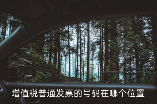 普票如何看碼，國(guó)稅普票代碼是幾位數(shù)字在什么位置
