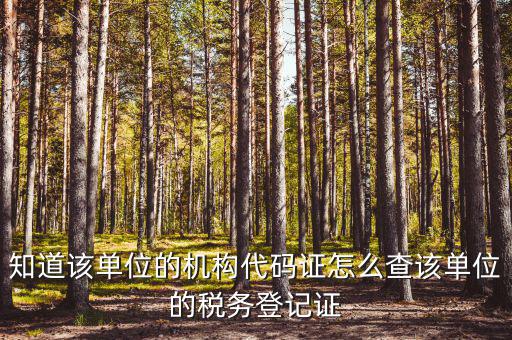 如何查企業(yè)稅務(wù)局登記，公司的稅務(wù)登記證號(hào)怎么查詢
