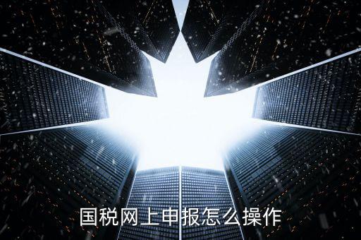 福建省國稅所得稅如何登入申報(bào)，福建省國稅申報(bào)相關(guān)問題