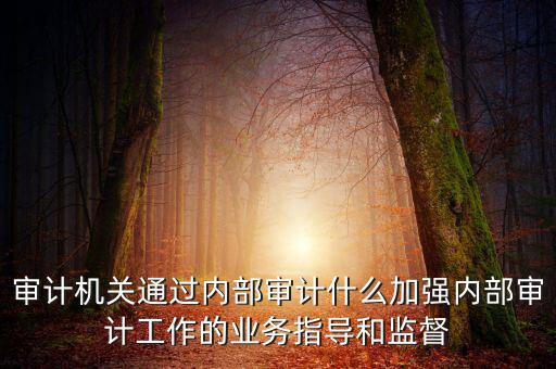 如何進一步加強督察內(nèi)審工作，如何加強紀檢監(jiān)察系統(tǒng)內(nèi)部監(jiān)督管理