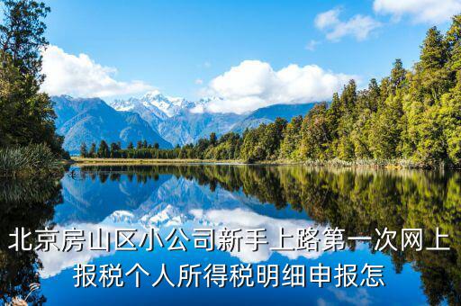 北京網(wǎng)上申報后如何繳稅，地稅國稅的網(wǎng)上繳稅怎么繳