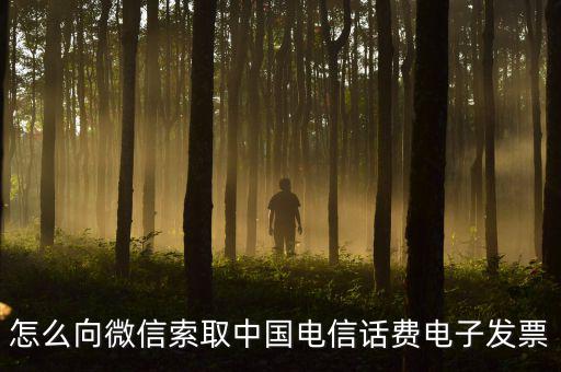 發(fā)票幫公眾號如何使用，9月1號預(yù)付微信公眾號300元9月6號收到發(fā)票要怎么做賬