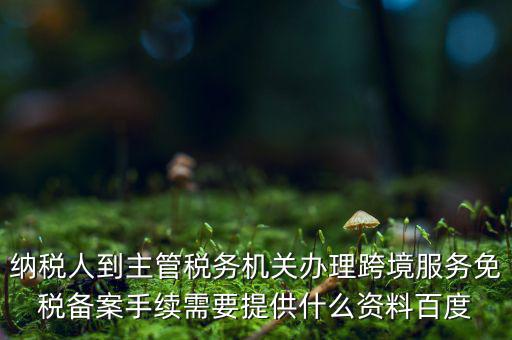 納稅人到主管稅務(wù)機關(guān)辦理跨境服務(wù)免稅備案手續(xù)需要提供什么資料百度