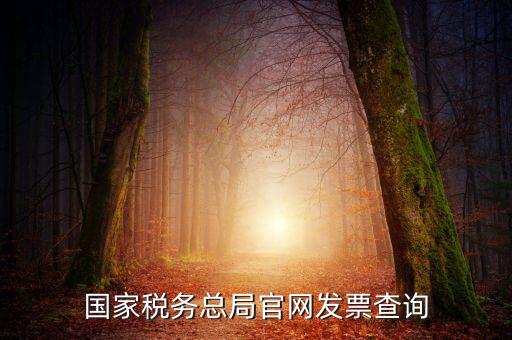 江蘇國稅如何查詢發(fā)票，江蘇發(fā)票真?zhèn)尾樵內(nèi)绾尾樵兘K發(fā)票真?zhèn)尾樵內(nèi)绾尾樵冏钪匾氖沁M(jìn)