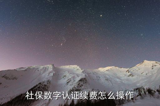 數(shù)字證書如何續(xù)費(fèi)，社保和公積金的數(shù)字證書到期怎么續(xù)費(fèi)啊