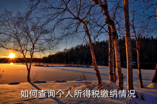 如何查詢自己交稅情況，個(gè)人繳稅記錄怎么查詢