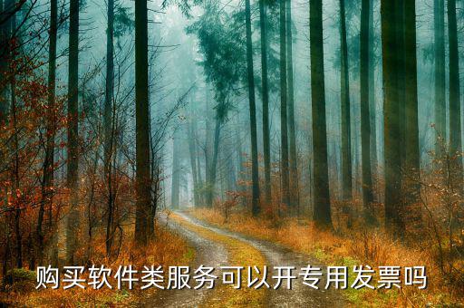 購(gòu)買軟件類服務(wù)可以開(kāi)專用發(fā)票嗎