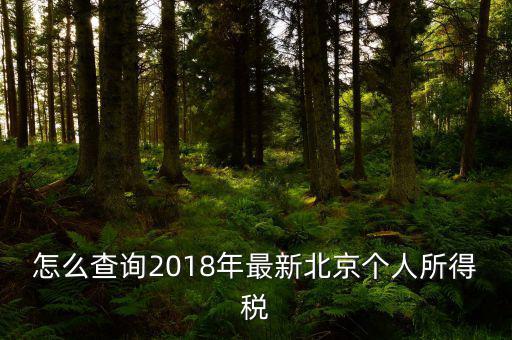 北京如何查詢個(gè)稅完稅證明，怎么查詢2018年最新北京個(gè)人所得稅