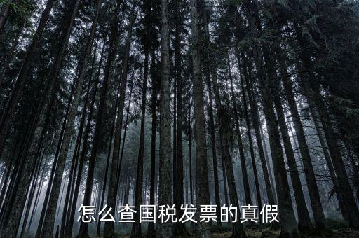 國稅如何驗證發(fā)票，增值稅發(fā)票網(wǎng)上怎么認證