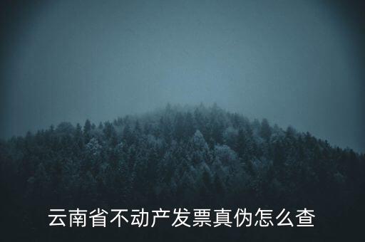 不動(dòng)產(chǎn)統(tǒng)一發(fā)票如何查詢真?zhèn)?，銷售不動(dòng)產(chǎn)統(tǒng)一發(fā)票真假怎么辨別