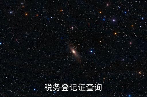 稅務(wù)機(jī)關(guān)備案信息如何查詢系統(tǒng)，稅務(wù)登記證查詢