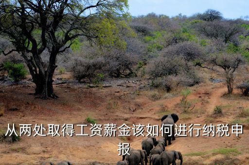 多出取得工資 如何申報個稅，個人多處取得所得如何申報繳納個稅