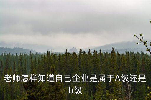 企業(yè)級(jí)別如何查，企業(yè)資質(zhì)等級(jí)怎樣查