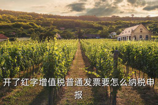 紅字進(jìn)項(xiàng)如何申報(bào)，開(kāi)了紅字增值稅普通發(fā)票要怎么納稅申報(bào)