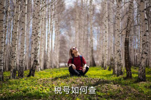 武漢如何查公司稅號，有誰知道公司名怎么查公司稅號