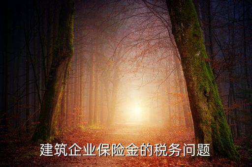 保險公司稅務(wù)管理如何處理，建筑企業(yè)保險金的稅務(wù)問題