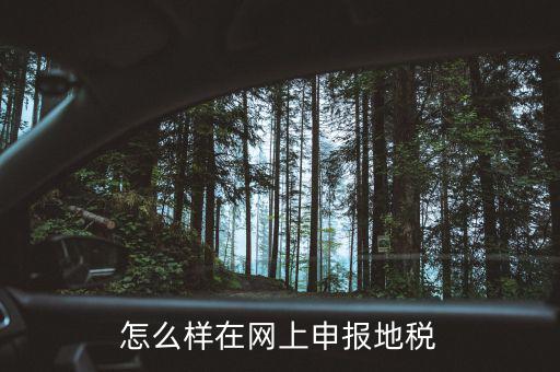 地稅網(wǎng)站如何注冊，地稅網(wǎng)上申報(bào)注冊怎么操作