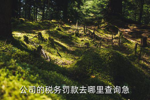 如何查稅收違法記錄，公司的稅務罰款去哪里查詢急