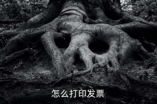 億企贏攜稅寶發(fā)票如何打印，這樣怎么打印電子發(fā)票