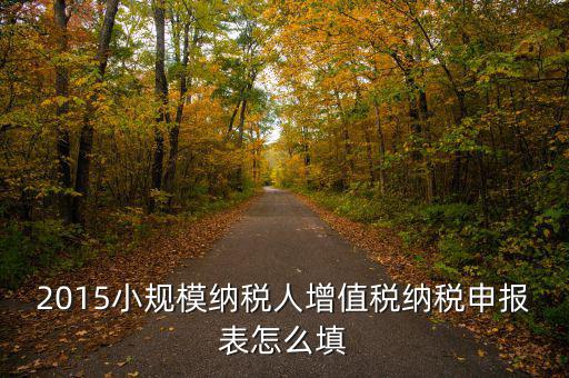 小規(guī)模納稅人國稅申報表如何填，小規(guī)模納稅人的報表怎么填
