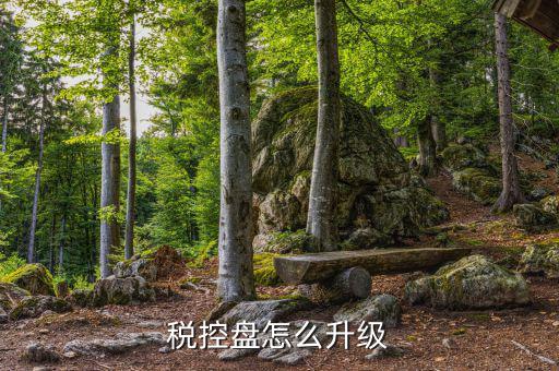 個(gè)人所得稅軟件如何升級(jí)，軟件怎樣升級(jí)