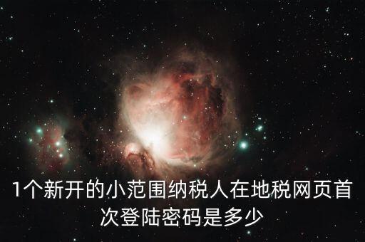 地稅ca如何登錄密碼是多少錢，1個(gè)新開的小范圍納稅人在地稅網(wǎng)頁首次登陸密碼是多少