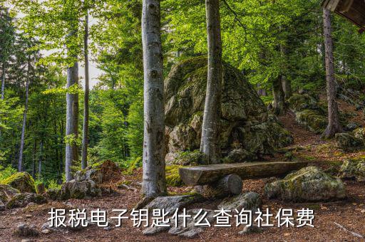 電子稅務局如何查社保，稅控盤上交五險了怎么打印出來