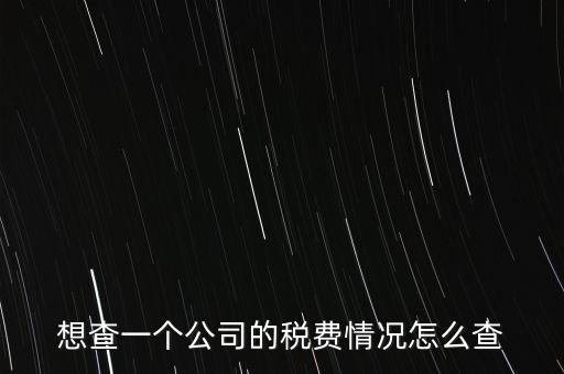 如何查詢公司納稅記錄查詢，想查一個公司的稅費情況怎么查