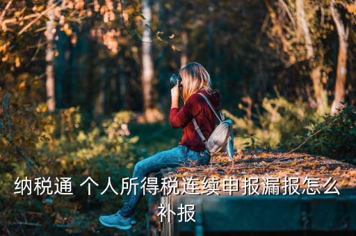 源泉扣繳如何補申報，個人所得稅代扣代繳系統(tǒng) 補申報怎樣操作