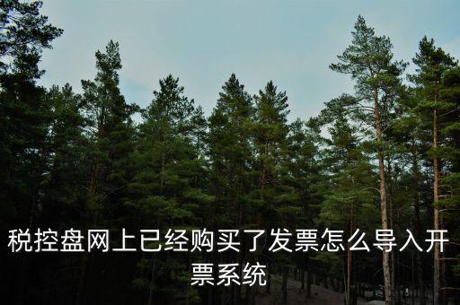 如何網(wǎng)上開票系統(tǒng)，稅控盤網(wǎng)上已經(jīng)購買了發(fā)票怎么導入開票系統(tǒng)