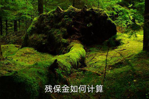 廣西殘疾人保障金如何計(jì)算方法，殘保金怎么計(jì)算