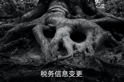 地稅如何變更人員信息查詢，浙江地稅開票軟件開票人怎么更改