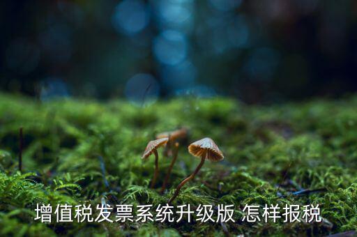 如何更新發(fā)票系統(tǒng)版本，如何將開票軟件升級為最新版本