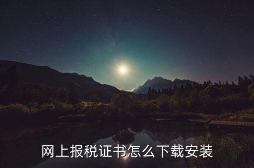 如何下載電子稅務(wù)印章，網(wǎng)上報稅證書怎么下載安裝