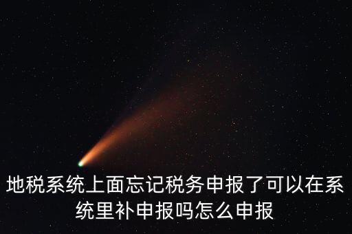 地稅如何補充申報表，地稅系統(tǒng)上面忘記稅務申報了可以在系統(tǒng)里補申報嗎怎么申報