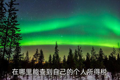 稅務如何查個稅，個稅怎么查