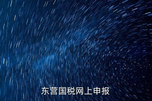 東營(yíng)國(guó)稅如何網(wǎng)上申報(bào)，東營(yíng)國(guó)稅網(wǎng)上申報(bào)