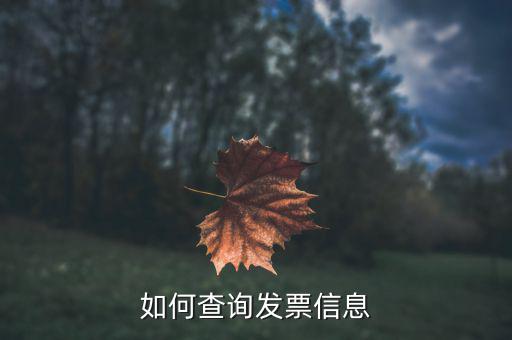 開票系統(tǒng)如何查詢票種，如何從金稅盤中看出公司票種