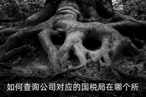 如何查詢公司對應(yīng)的國稅局在哪個(gè)所