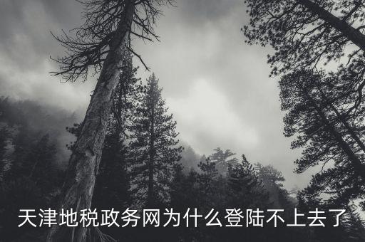 天津地稅如何登錄，天津地稅政務(wù)網(wǎng)為什么登陸不上去了
