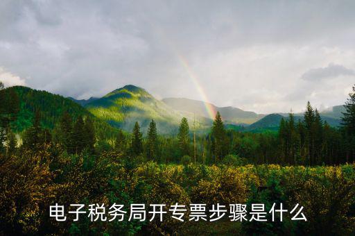 山西省稅務(wù)局網(wǎng)上如何開專票，如何開增值稅專用發(fā)票